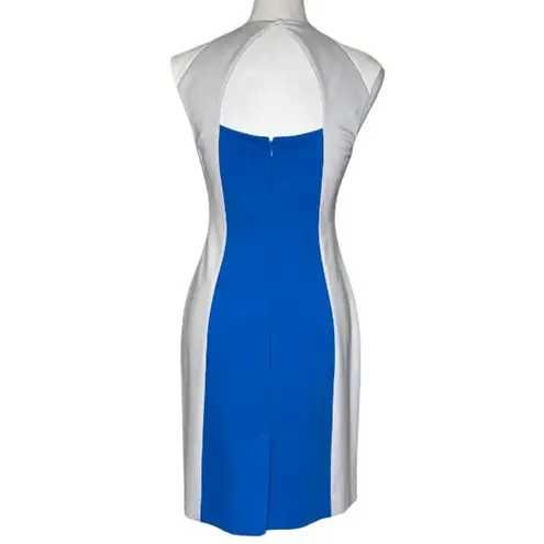 Catherine Malandrino Colorblock Bodycon Sleeveless Back Cut out Zippered Size 6