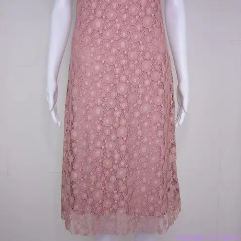 Reserved NEW lace ruffle chest short sleeve midi sheath dress, S