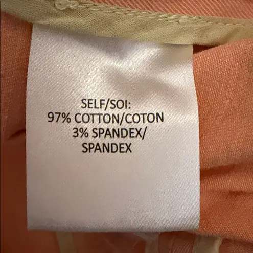 Tanya Taylor Darwin Sunwashed Color-blocked Single Button Blazer Size 12