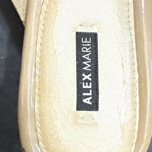 Alex Marie Hashleigh Metallic Mesh Jeweled Taupe/Silver Dress Shoes Size 10 M