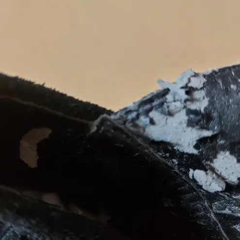 Penny Loves Kenny Sonya Platform Fringe Sandal 9.5 Shooties Festival Cowgirl