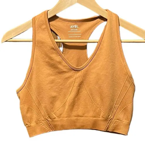 ABYL Balance V2 Seamless Sports Bra in Spiced Orange Size Large