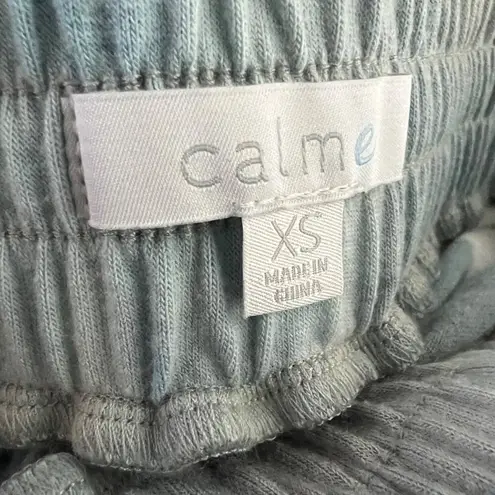 NWT Calme Johnny Was Commuter Short Skirt Rain Blue Tie Dye Athletic XS