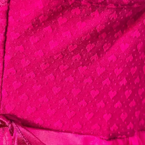 Lily Of France Rosa Puleo-Szule 70's Sheer Chiffon Lingerie Slip Dress Medium