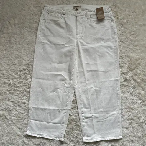 Madewell Jeans The Plus Perfect Vintage Wide-Leg Crop Tile White 16W NWT New