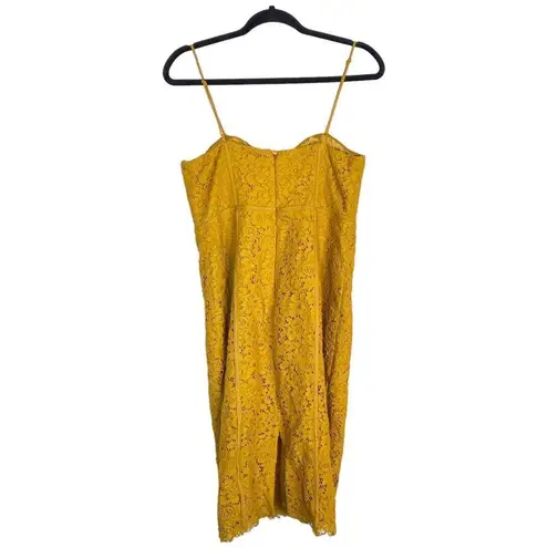 Bardot  Corset Lace Midi Dress Mustard Yellow Size 8 Medium