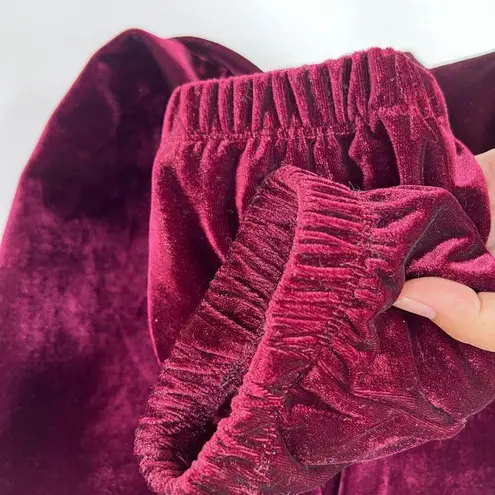 OAT New York Slim Velour Jogger Pants Womens Medium Cherry Elastic Waist & Ankle