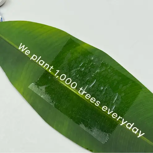 Farm Rio Banana Vichy Swim Bikini Top Womens Size XS Summer Vacation NEW