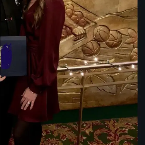 EXPRESS Merlot Faux Wrap Dress