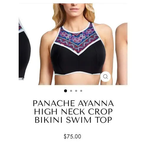 Panache Ayanna High Neck Crop Bikini Swim Top 38DD Regular price$75.00 Black Size undefined