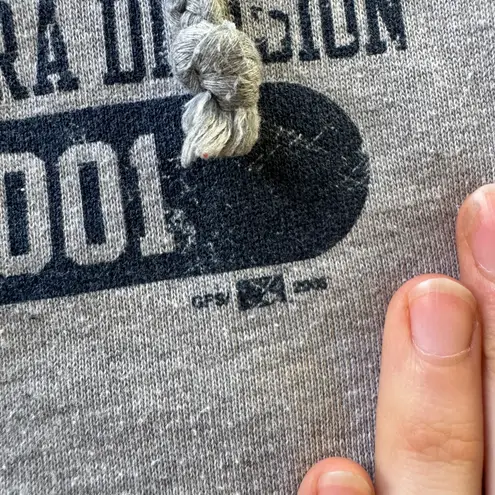 Vintage Y2K Brooklyn Cyclones Hoodie Gray Size L