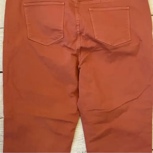 Soft Surroundings 1X rose color jean pants