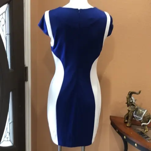 Ivy and Blue two toned dress White Size 8