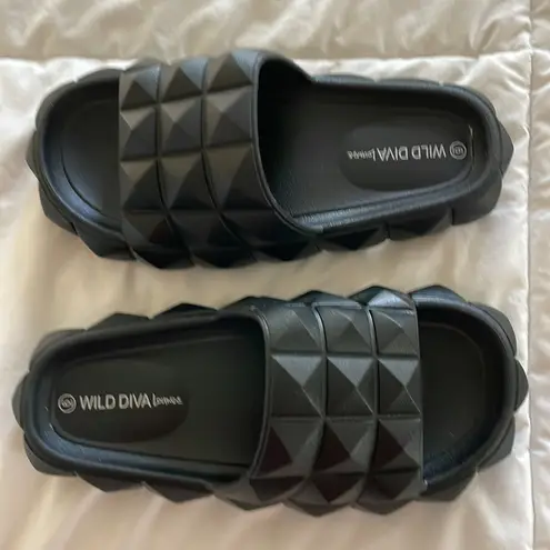 Wild Diva  slides