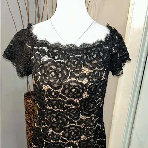 Adrianna Papell  Black Tan Off-Shoulder Flutter Sleeve Mini Dress