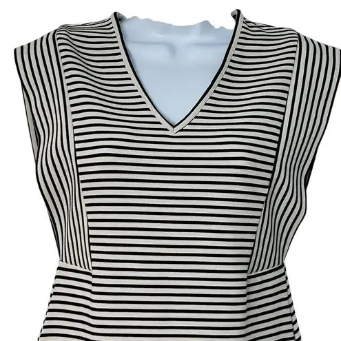 Derek Lam Size 40 US 4 V Neck Sheath Dress Black White Striped Stretch Chic Work