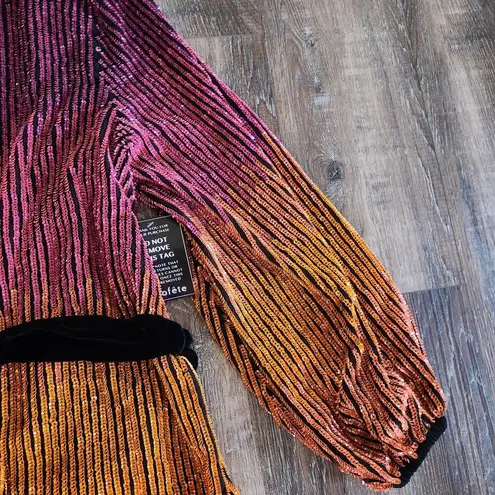 Retrofête Retrofete Gabrielle Robe Sequin Dress in Ombre Pink Orange Size XS NWT