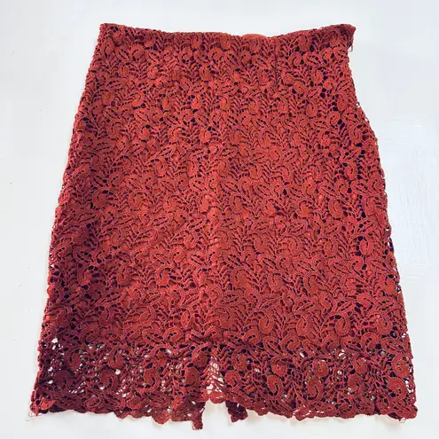 Falda encaje clase Marrón Talla L Super Fashion Size L