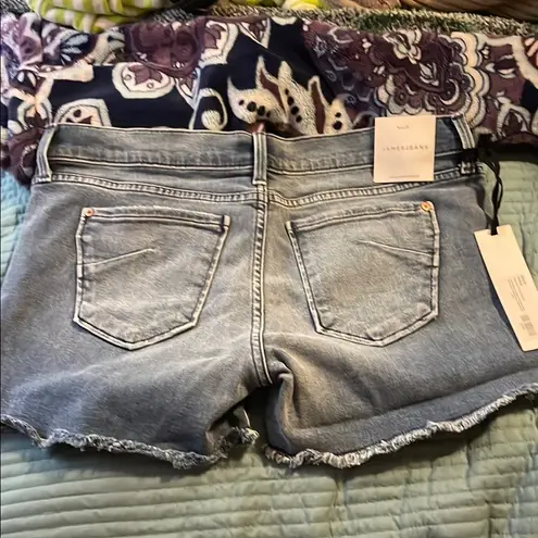 James Jeans NWT  Shorty Venice Slouchy Boy Blue Jean Shorts Cut-Off 30 Basic