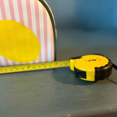 Dabney Lee  Lemon Pink Stripe Single Zip Cosmetic Bag PVC 8.5" Travel Pouch