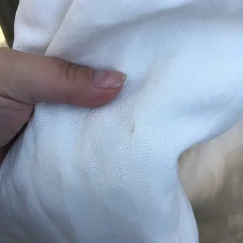 Charter Club NWT  WHITE PLEATED SILK LINEN PANTS