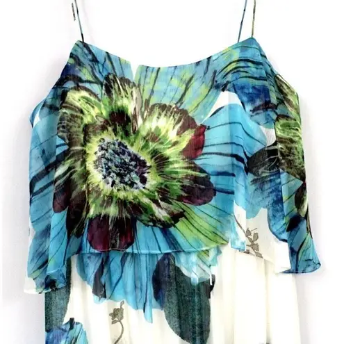 Aqua Dresses Brand Maxi Sun Dress Sheer Chiffon Huge Floral Motif NWT Sz 12
