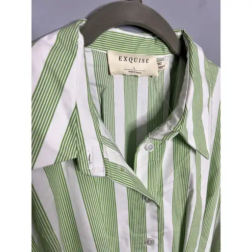 Anthropologie  The Tobie Mini‎ Shirt Dress by Exquise Large Green Stripe