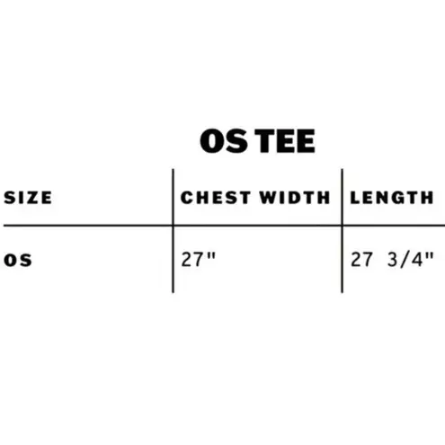 Daydreamer Fort Worth One Size (OS) Tee in Stone Vintage New w/o Tag MSRP $88