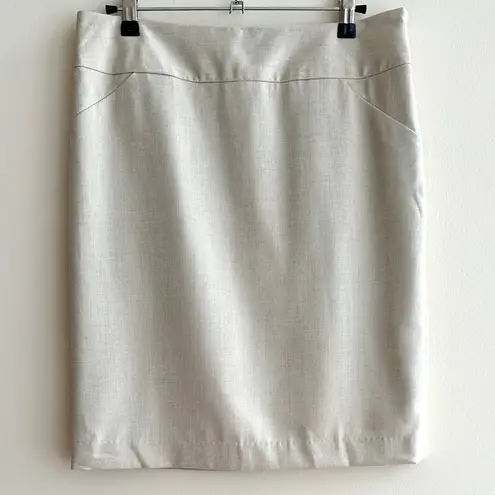 Amanda & Chelsea Pencil Skirt, Contemporary Fit Stretch Skirt, Stone, Size 4 NWT