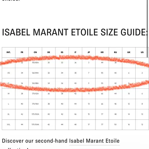 Isabel Marant Like New Silk Snakeskin Print Skirt Size XS