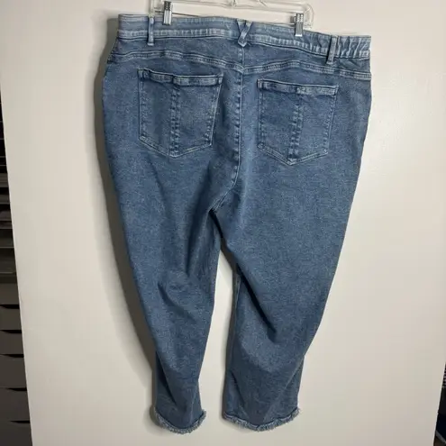 Democracy "Ab"solution Spliced Straight Leg Inside Step Frayed Hem Size 24W