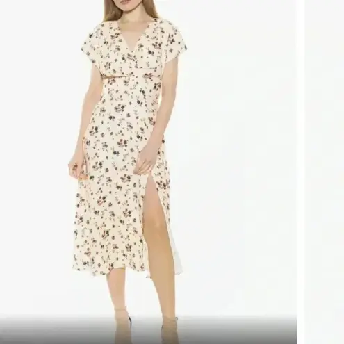 Alexia Admor  Dress size 8