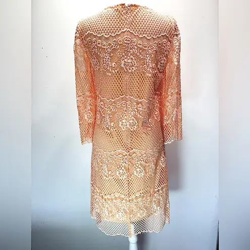 Pale Orange Peach Sheer Mesh Lace Overlay Fairy Dress 3/4 Sleeves Wendy Bird