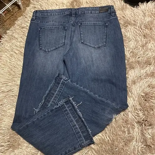 Dear John  Distressed Jeans Size 29