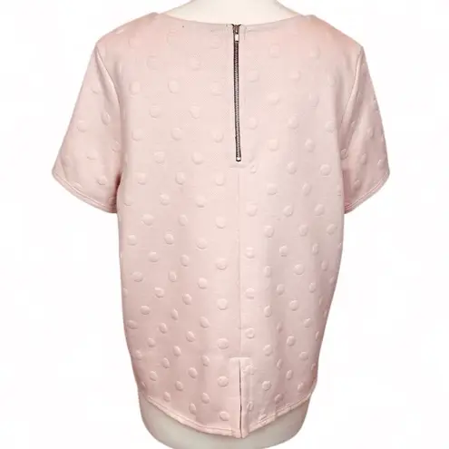 W5 Anthropologie Blush Pink Textured Polka Dot Short Sleeve Top Size M NWT