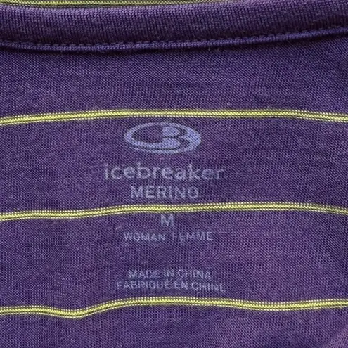 Icebreaker Merino Wool Crush Purple Striped 1/4 Zip Hooded Shirt Size M Size M