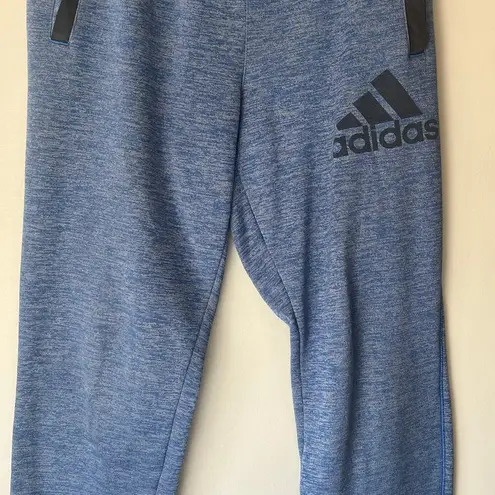 Adidas  Blue Women's Joggers with Ankle Zippers Size Small