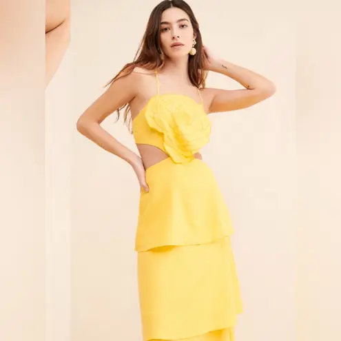 Farm Rio 3D Floral Tiered Dress