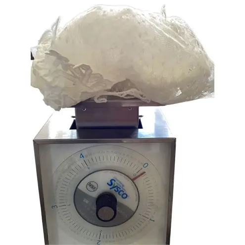 South Korean Sheer Long Sleeve Floral Lace Shirt Formal White Size XS