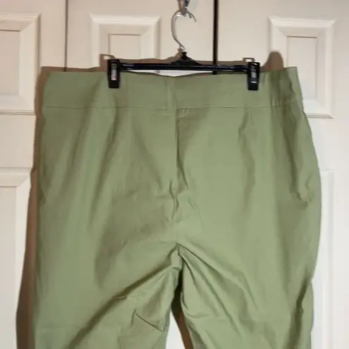Premise Woman Spring Green Stretch Waistband Ankle Cropped Pants Size 3X NWT