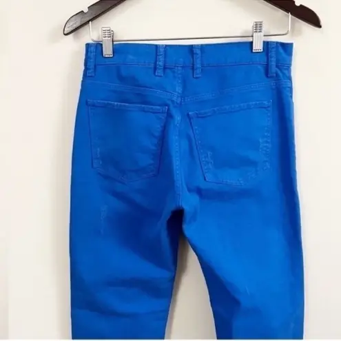 Sandro Paris Royal Blue Straight Leg Distressed Jeans Royal Blue Size 36 (4 US)