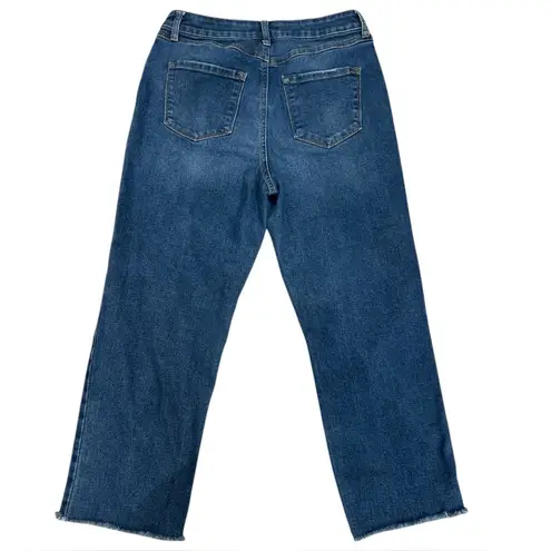 Sincerely Jules Button Fly Distressed Jeans Women’s Size 9/29 High Rise 5 pocket Blue