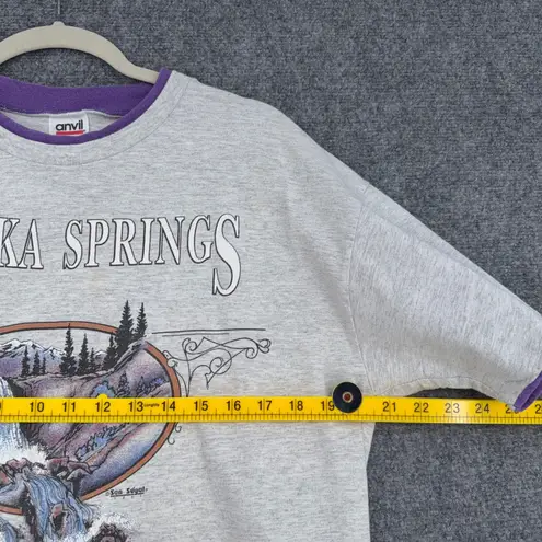 Anvil Eureka Springs Graphic T Shirt Womens Large Gray Purple Waterfall 1991