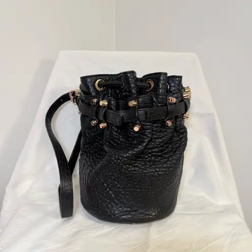 Alexander Wang Diego Bucket Bag, Black Pebbled Lambskin w/ Rose Gold Studs, VGUC - Image 2