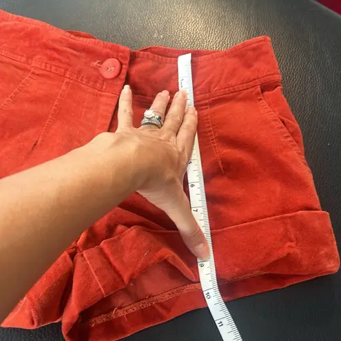 ZARA  velour shorts.
