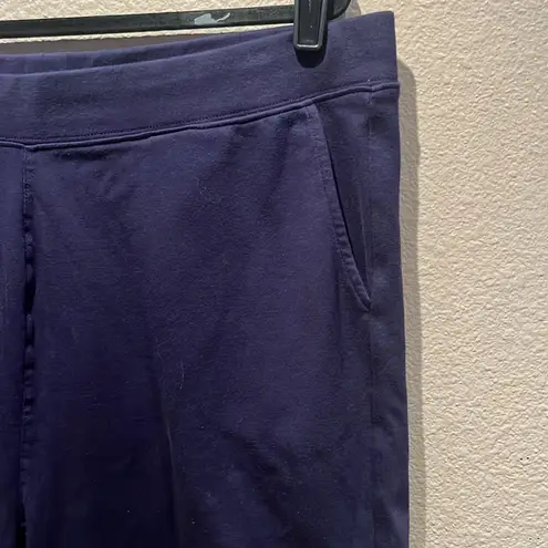 Coldwater Creek Women’s Blue Knit Shorts Size 1X