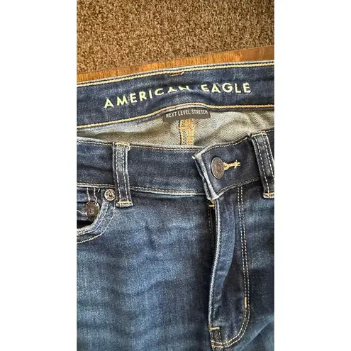 American Eagle  Jeans ripped jeans Women's high rise jegging size 4