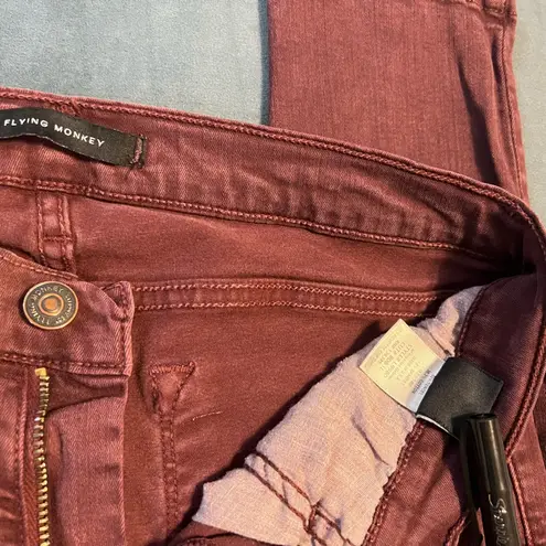 Flying Monkey Skinny Jenas Size 29, Plum Color