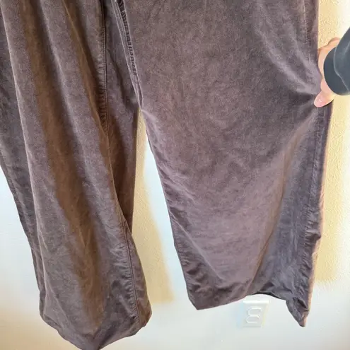 DL1961 Hepburn Wide Leg Velvet Pants Sz 31