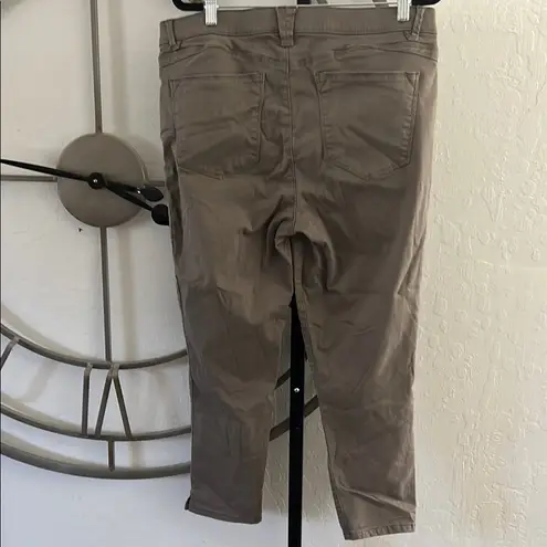 Democracy Wit & Wisdom Brown Ankle Pants Size 14P. - EUC